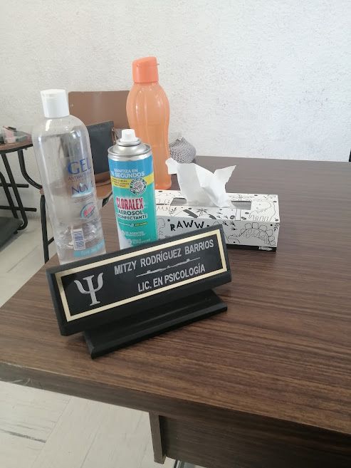 Mitzy Rodríguez Barrios-0