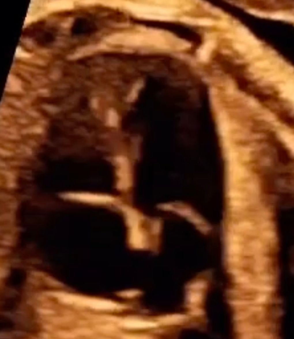 Ricardo Morales Velázquez-2