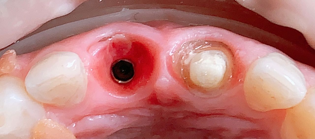 Alberto Miguel Rodriguez Soto-19