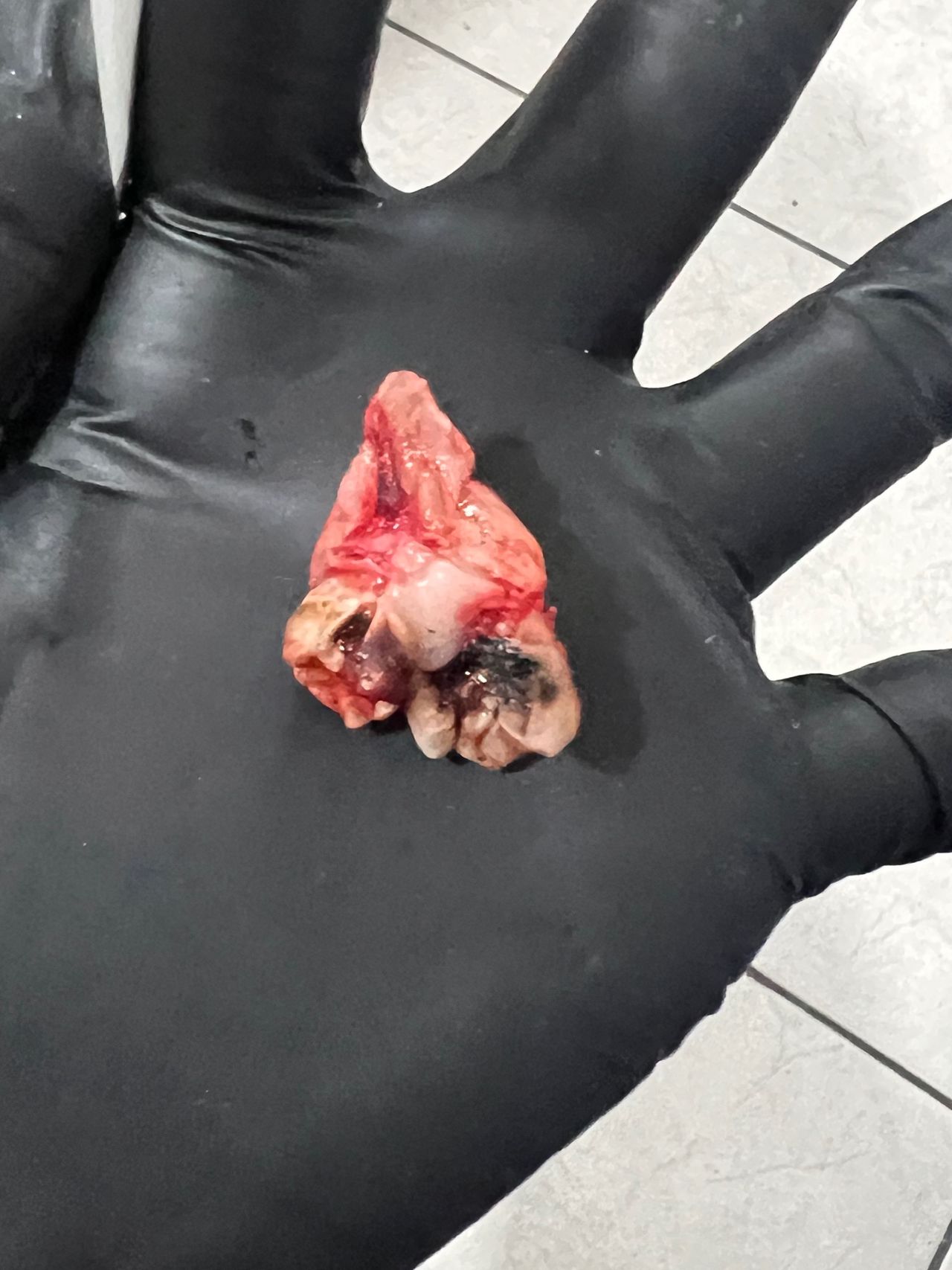 Alejandra Domínguez-6