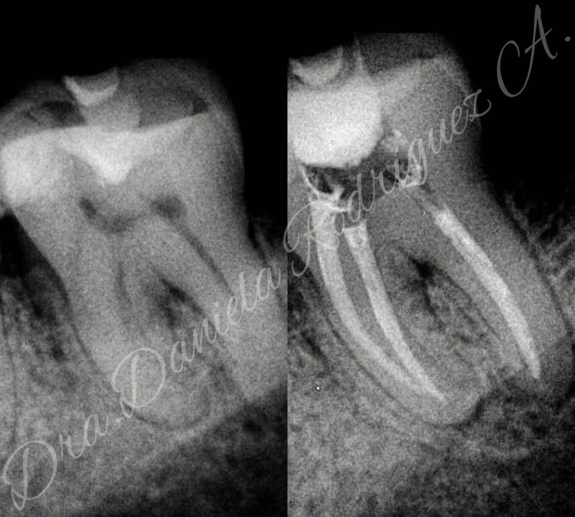 Daniela Rodríguez Ayala-15