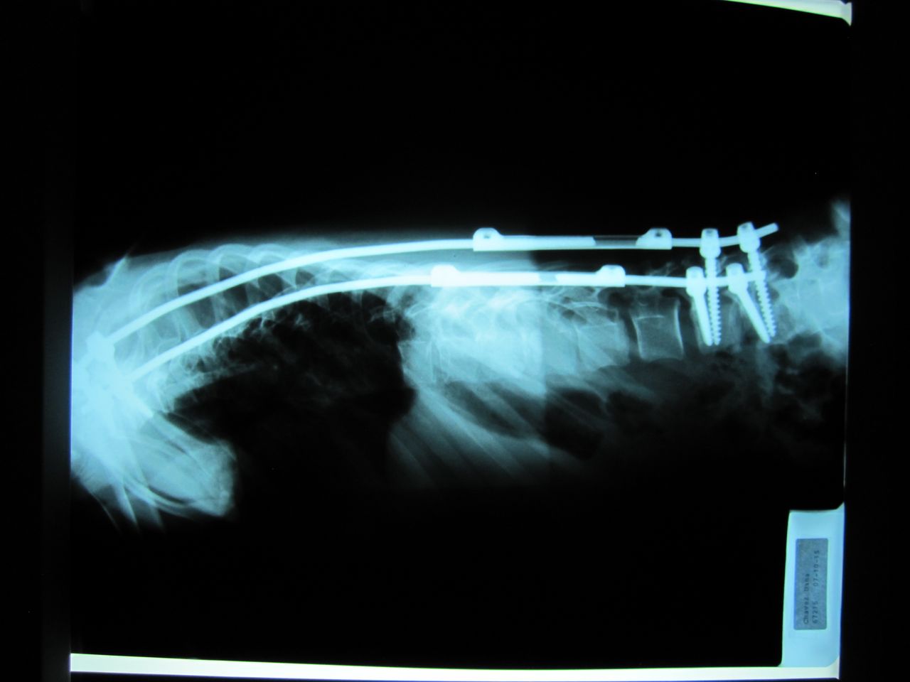 José Antonio Canales Najera-10