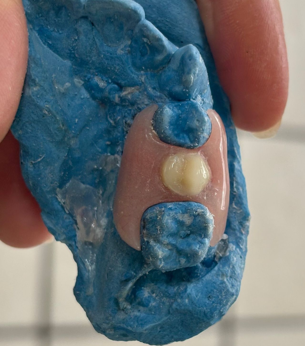 María Paula  Flores Novoa-67