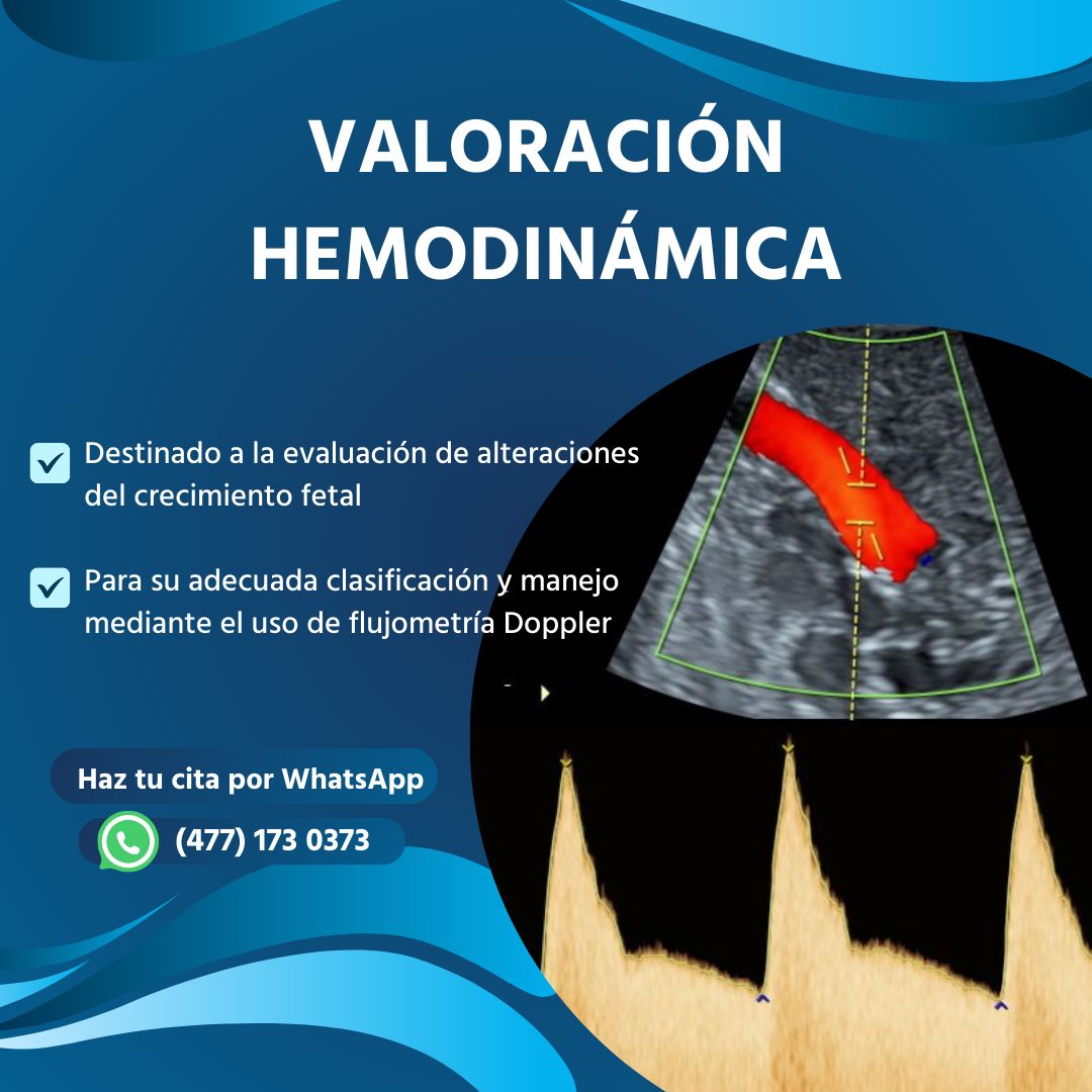 Fernando Nieto Landeros-4