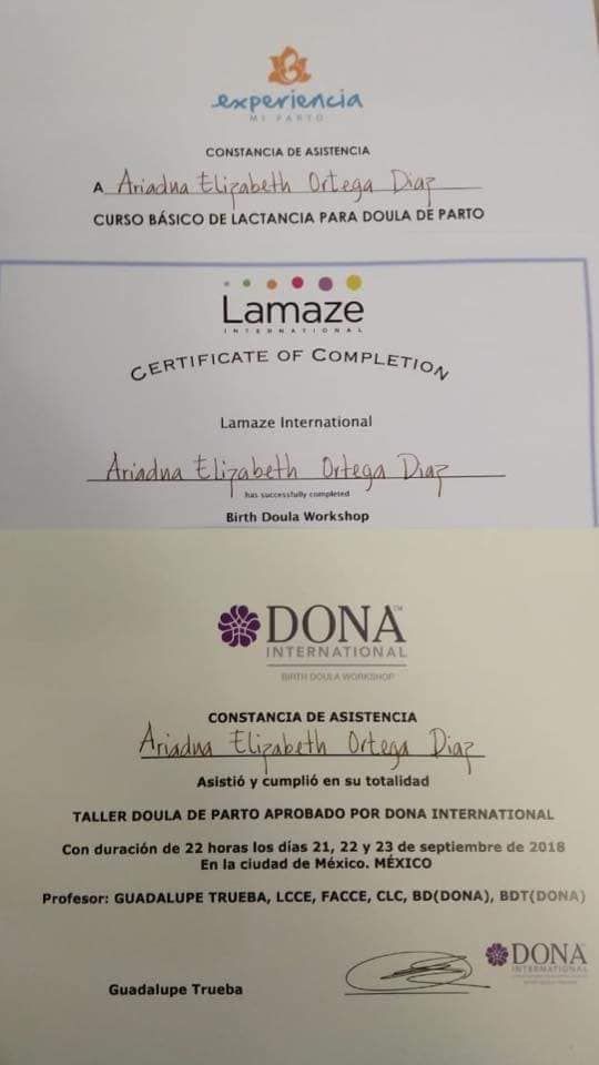 Ariadna E. Ortega Díaz-13