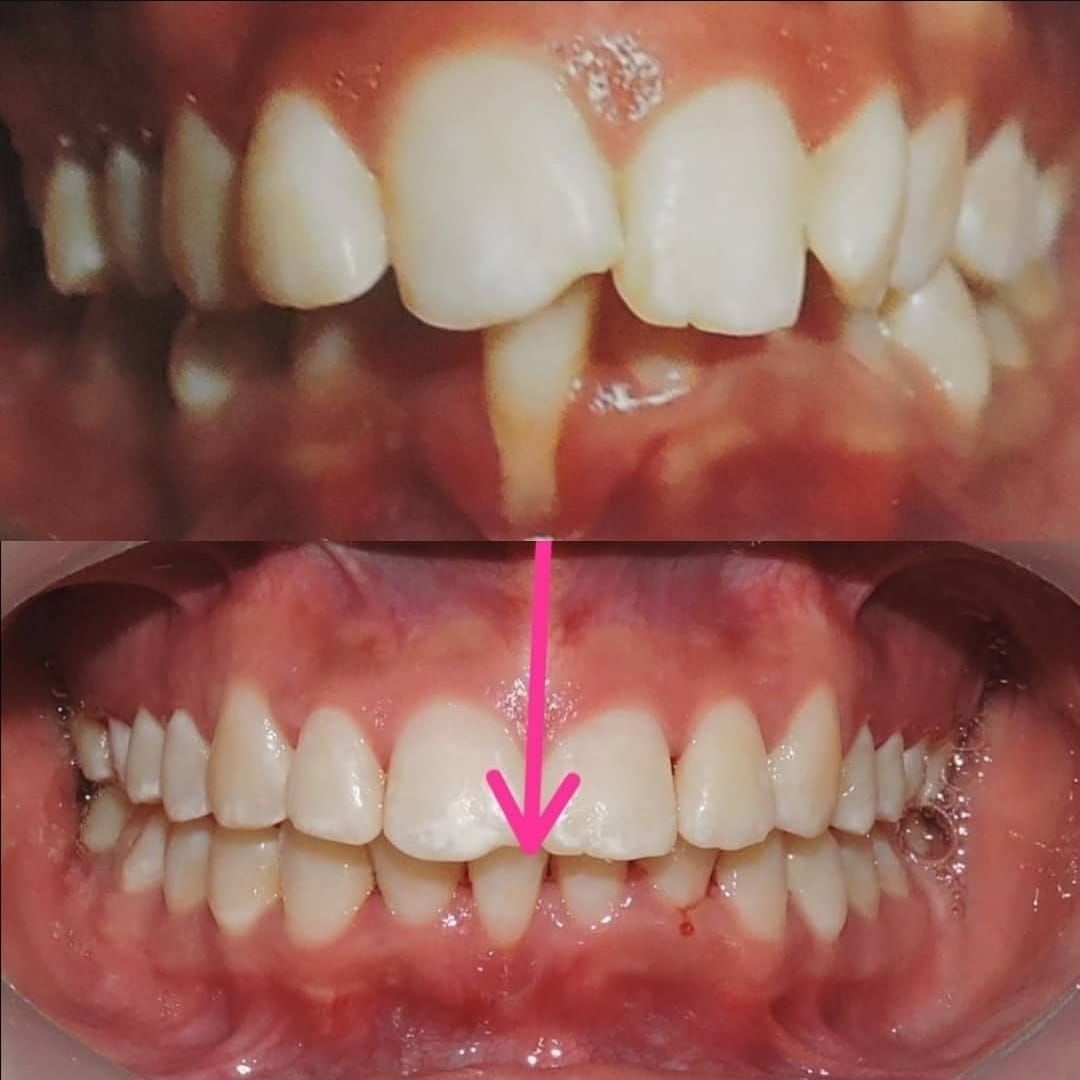 Tulia Andrade Rodriguez-18