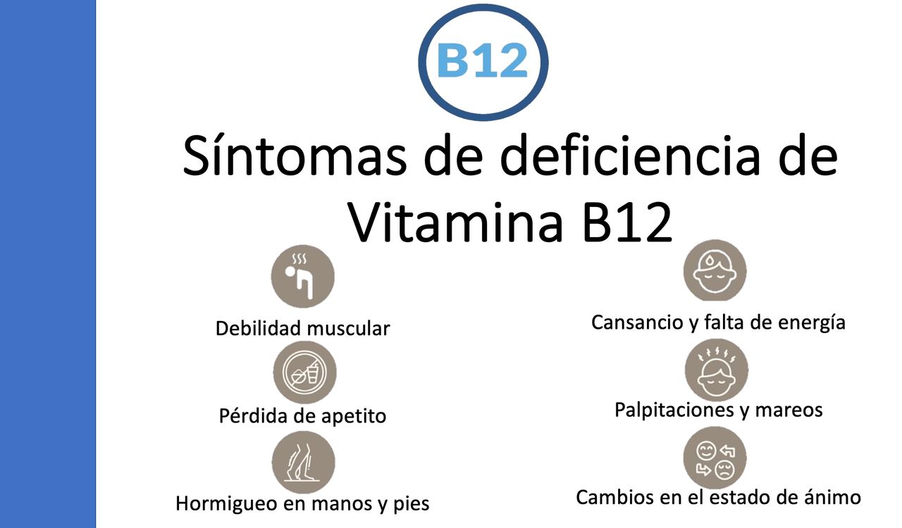 Araceli Leal Alanís-11