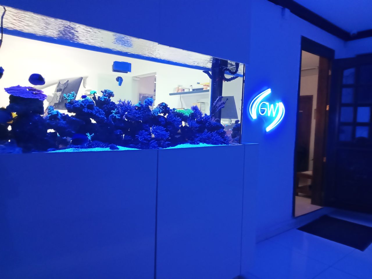 Ivonne Domínguez Gutiérrez-1