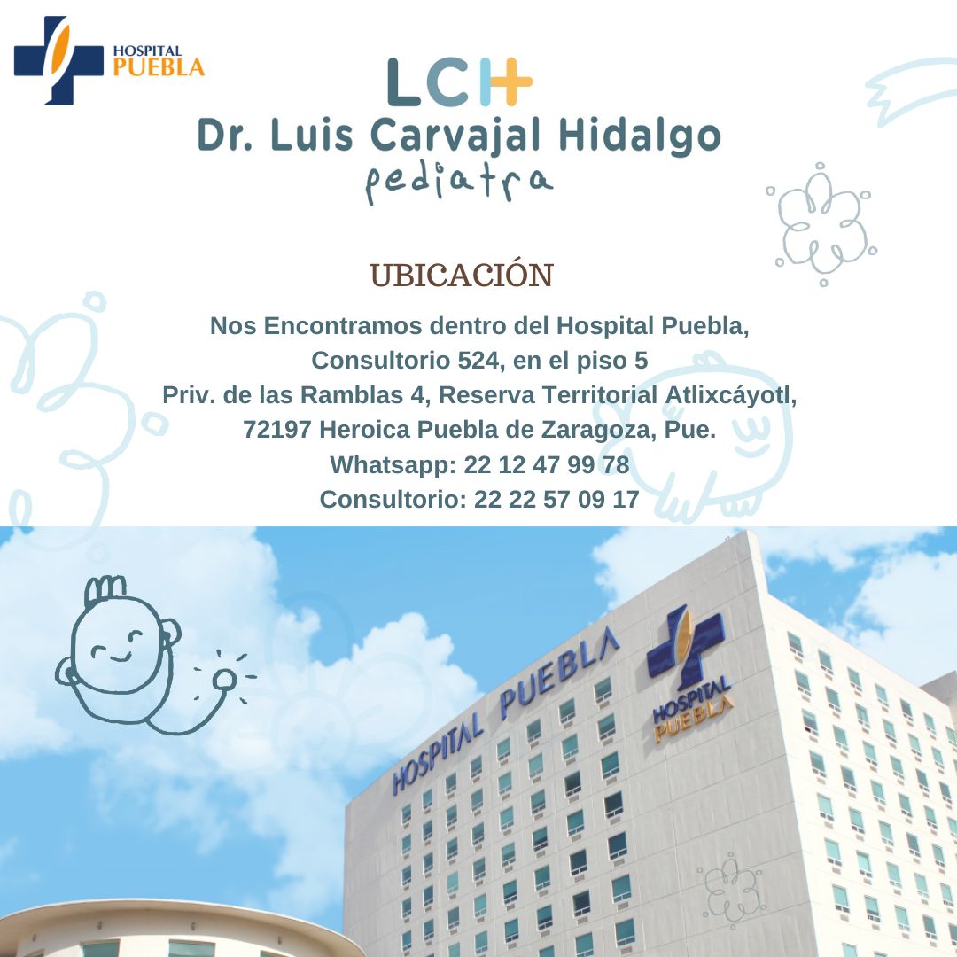 Luis Carvajal Hidalgo-12