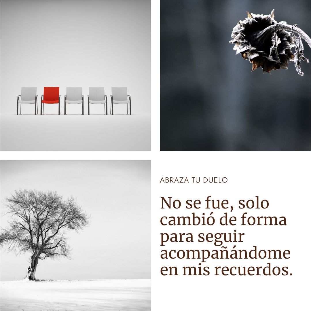 Grecia Lau Campbell-12