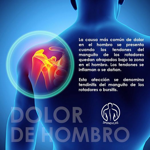 Alfredo Sandoval Plata-11