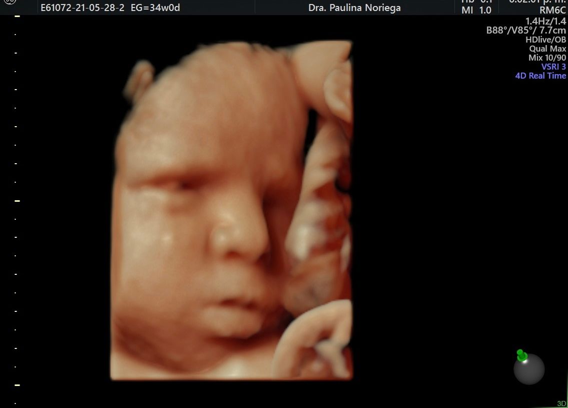 Luisa Paulina Noriega Jiménez-10