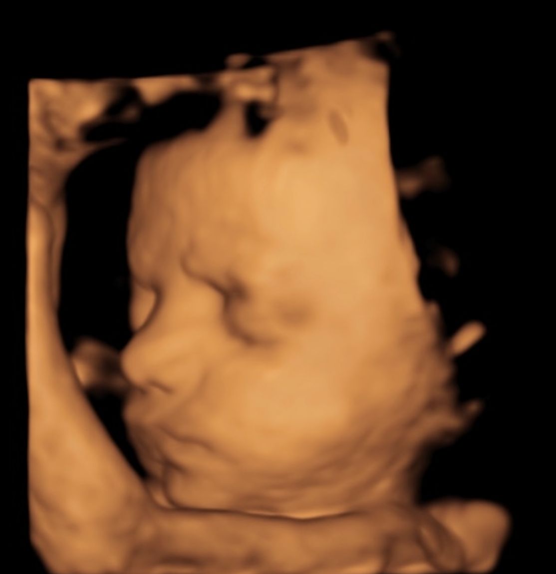 Cesar Octavio Mercado Sahagun-6