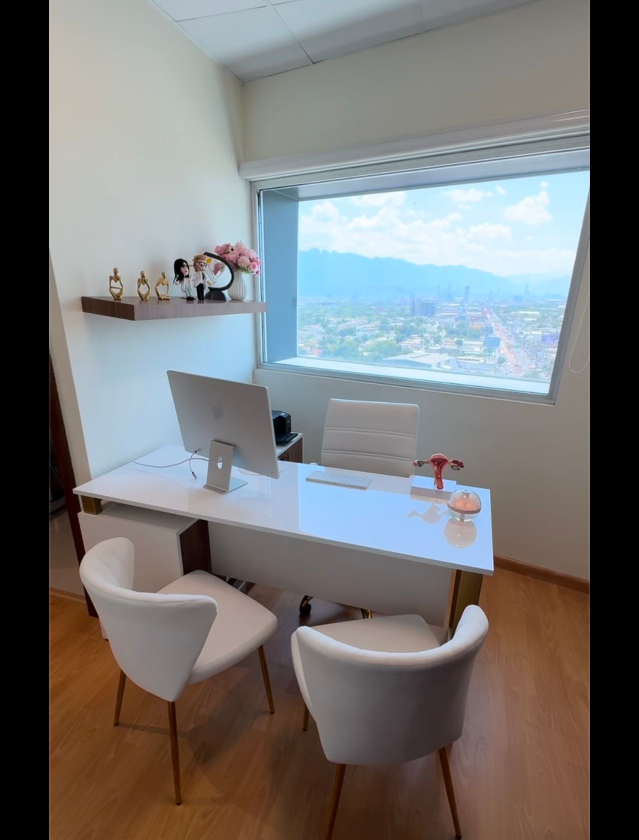 Zabdy Shirel H. Lascurain-1