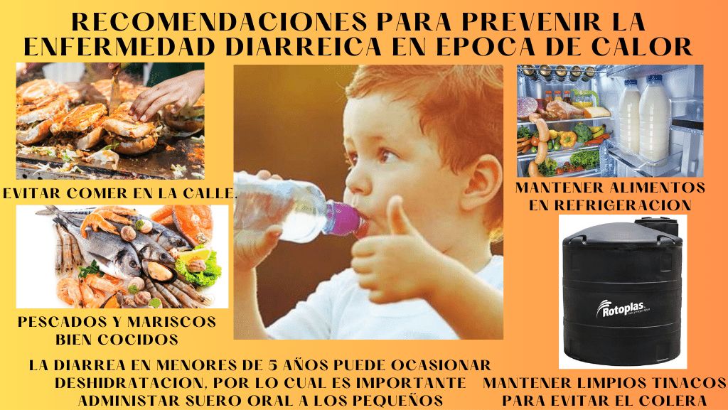 Margarita García López-2