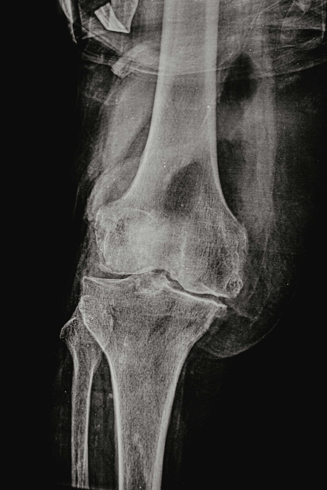 Gustavo Cayetano Baez-3