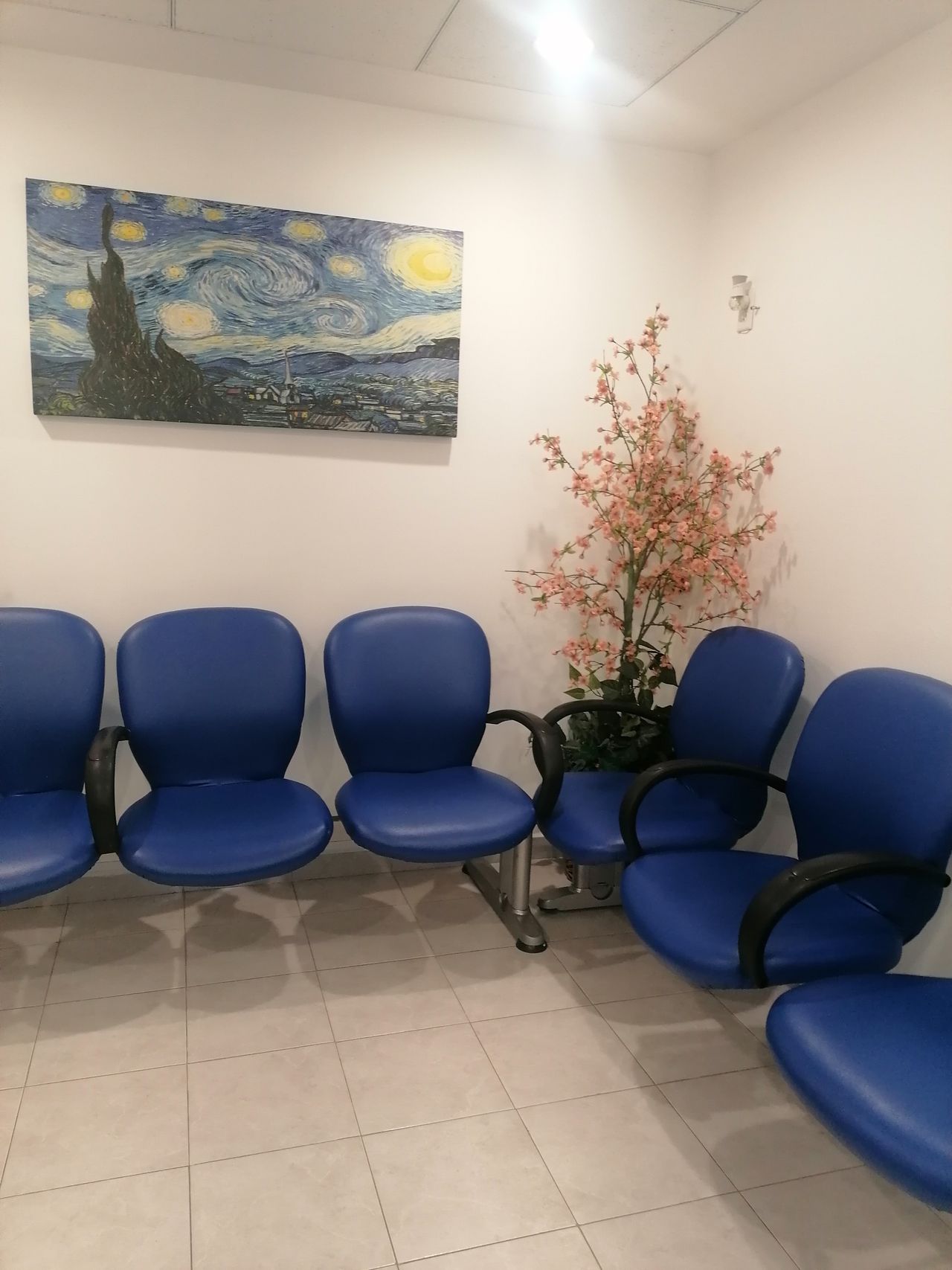 J. C. Dafne Sánchez Carbajal-1