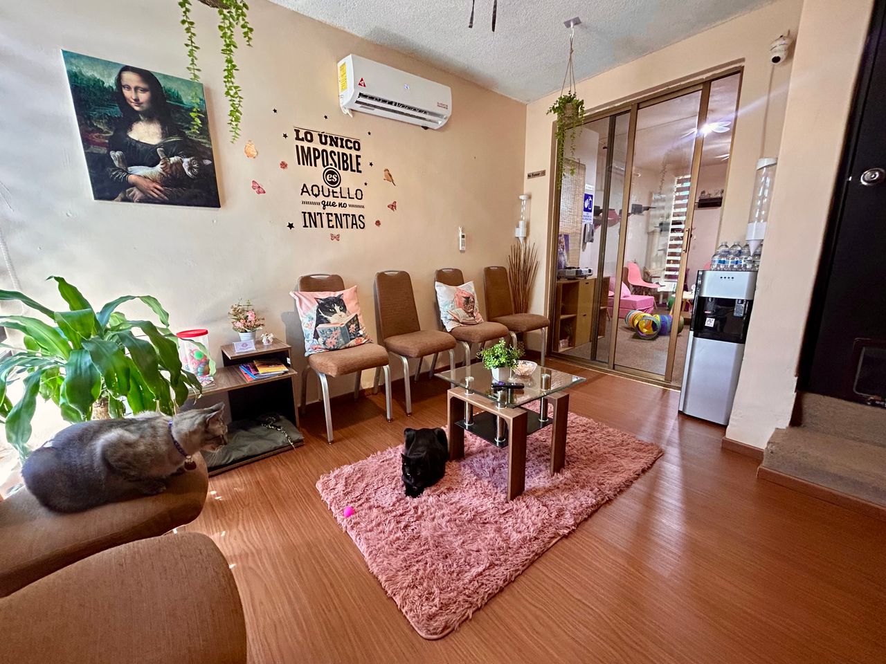 Jhoana Mendoza Larios-4