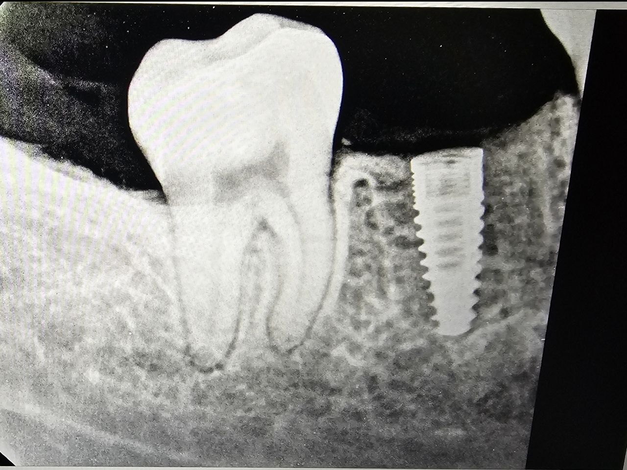 Leonel Hernández Gómez-9