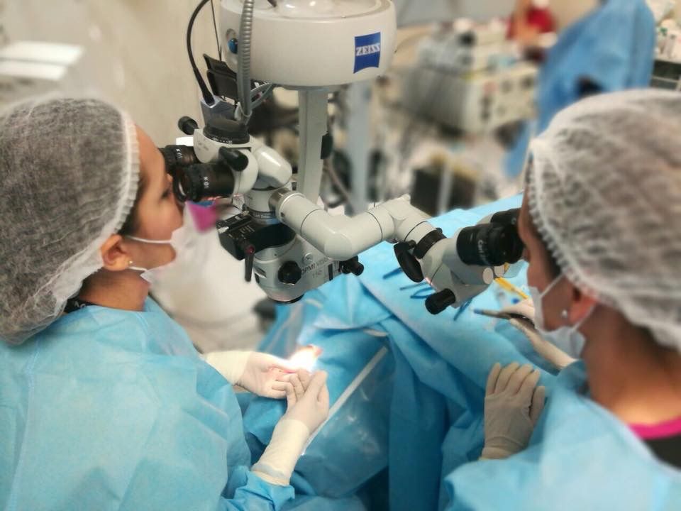 Diana Esperanza Arévalo Simental-0