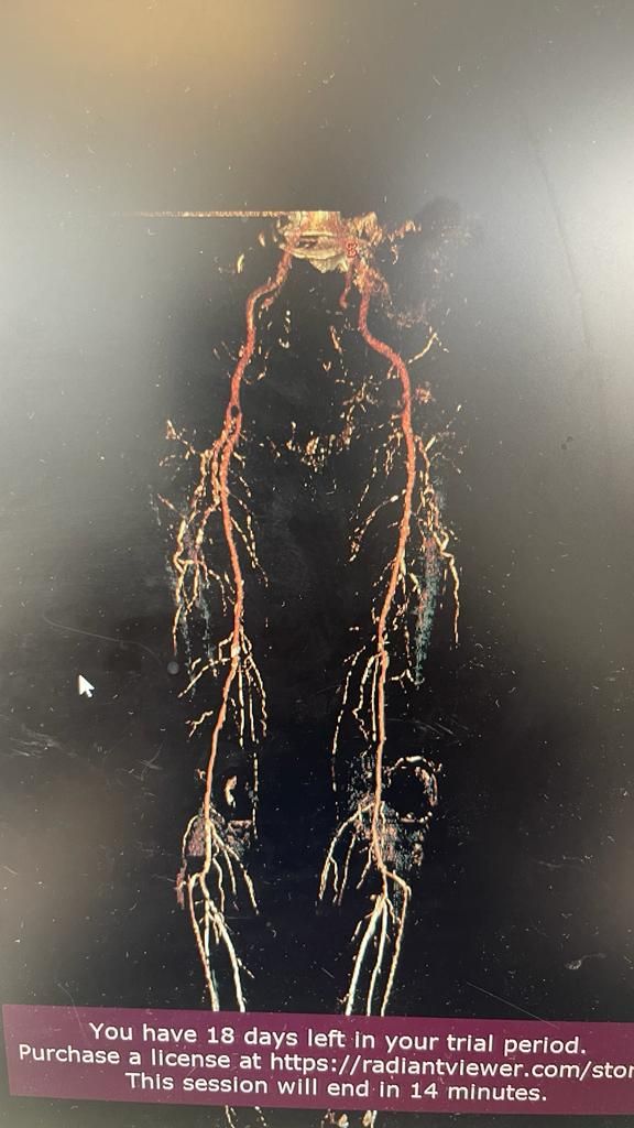 Jose Alfredo Valdovinos Estrada-0