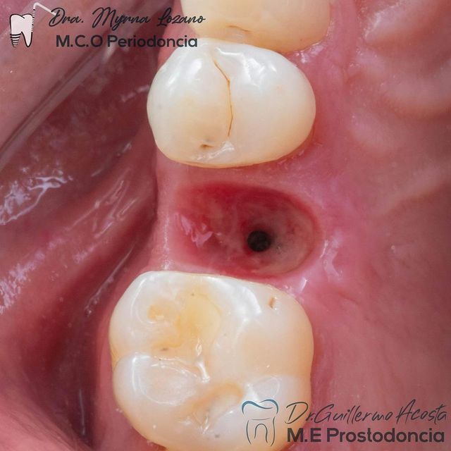 Myrna Lozano Márquez-1