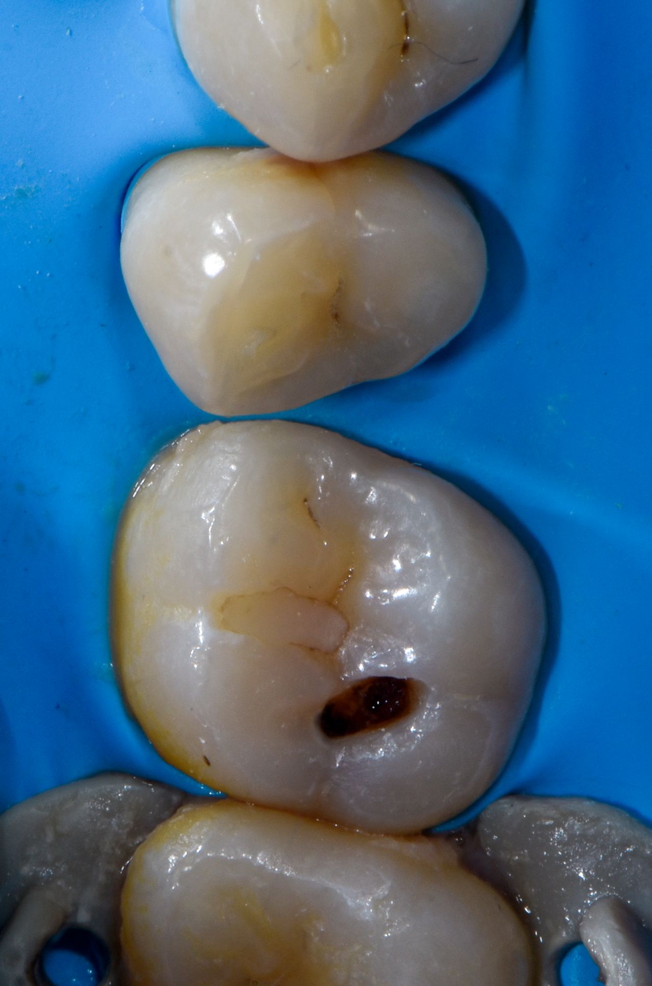 Marco Antonio Silva-3