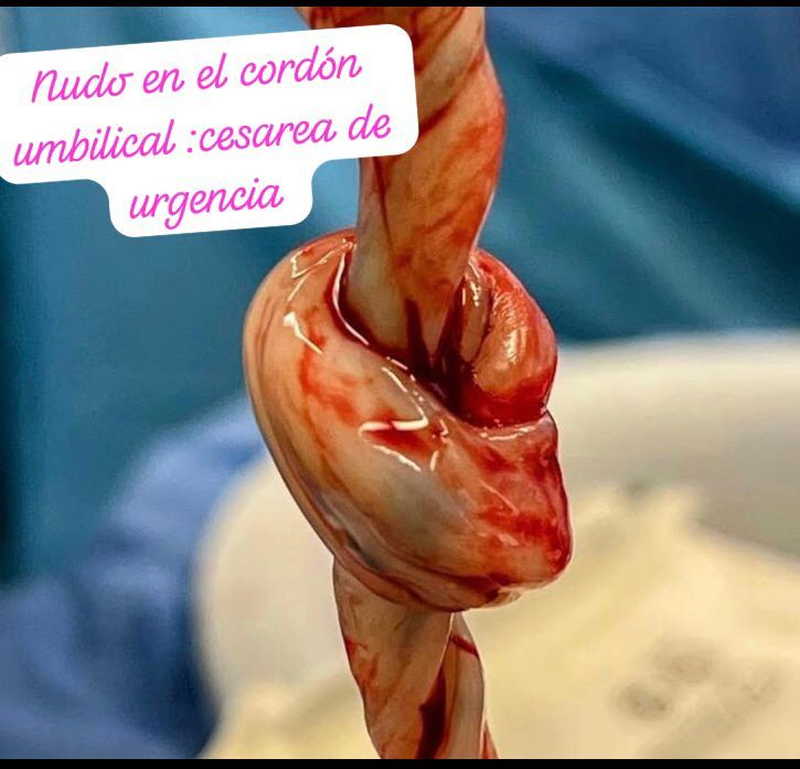 Guadalupe Muñoz Castro-47