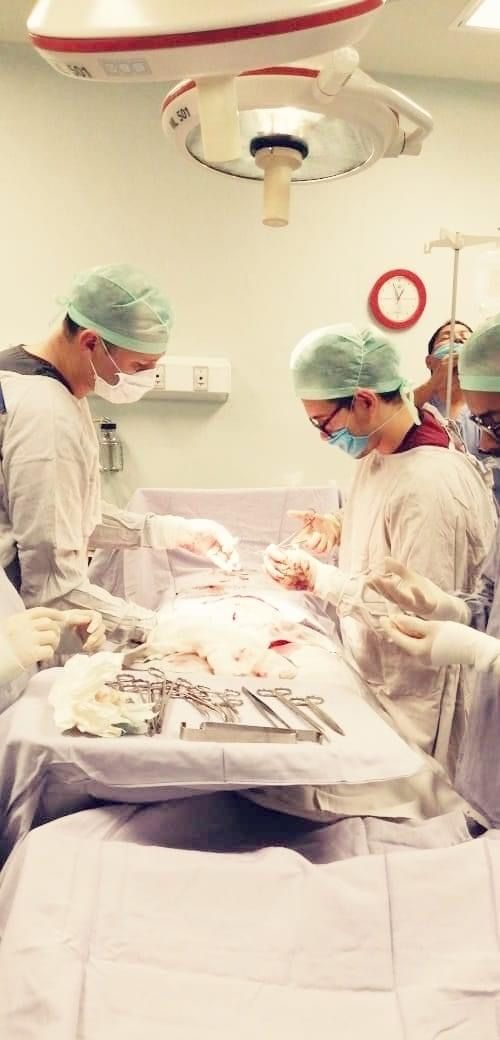 Diego Ivan Gonzalez Azpeita-9