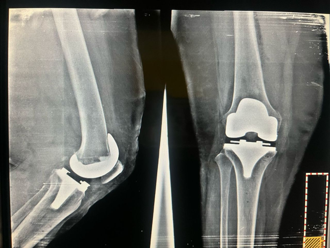 Alejandra Fuentes Martínez-18