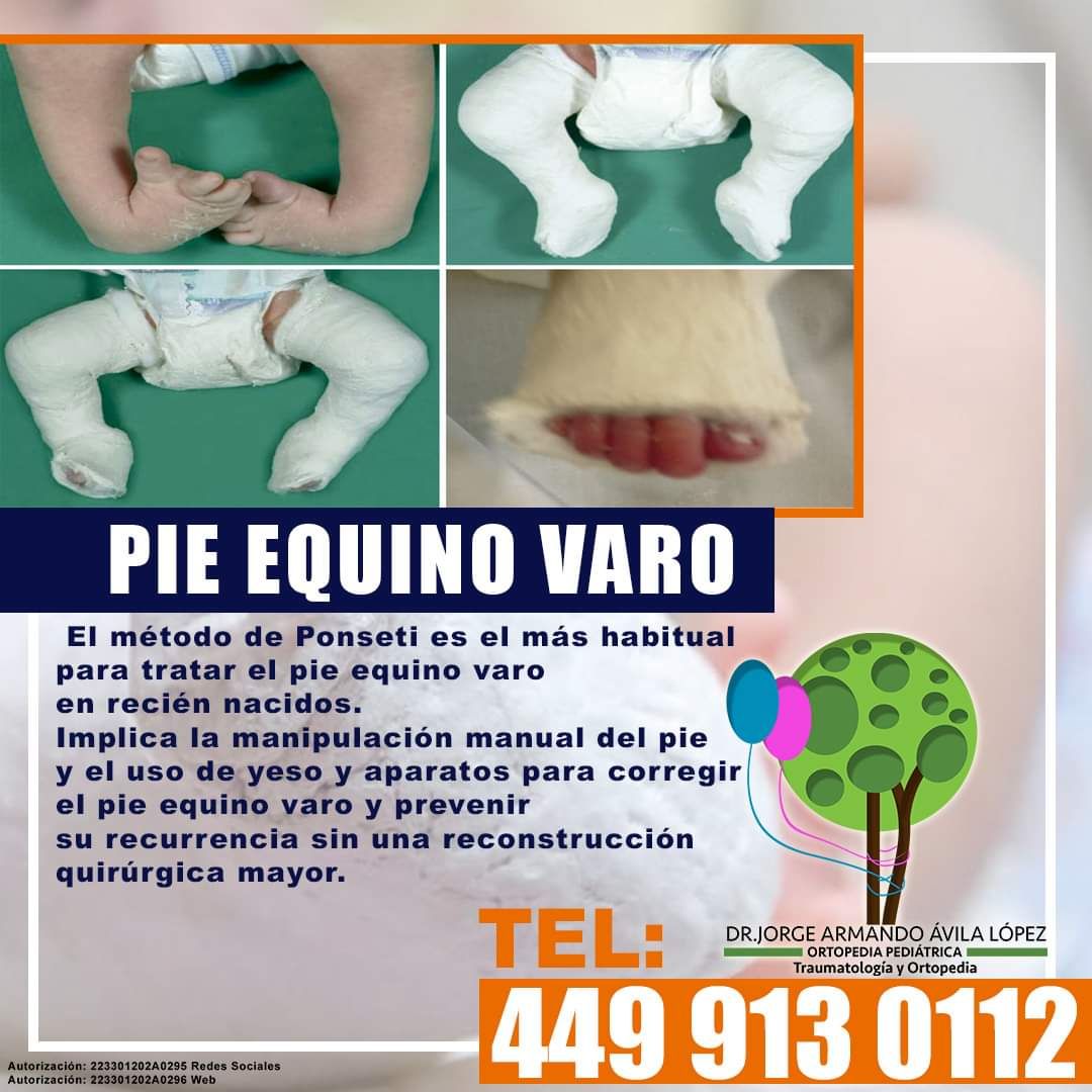 Jorge Armando Avila López-8