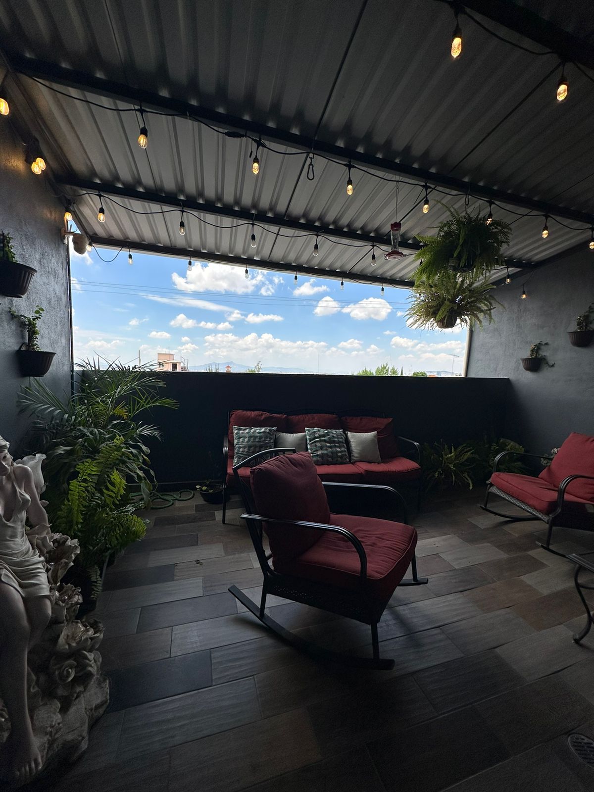 Fernando Pelaez Castañeda-13