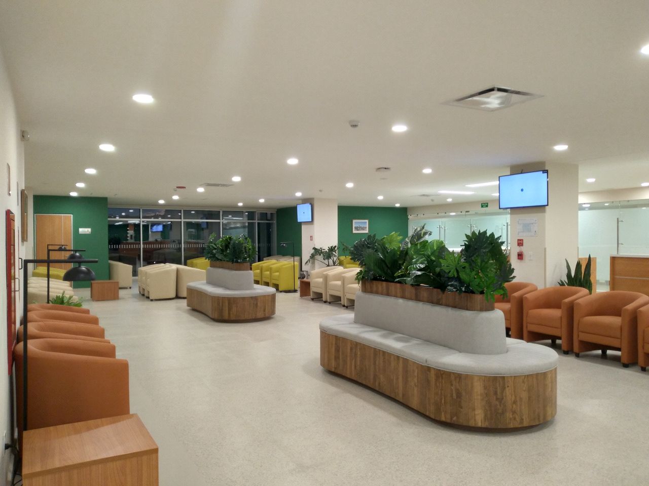 Ana Sofia Orozco Virgen-5