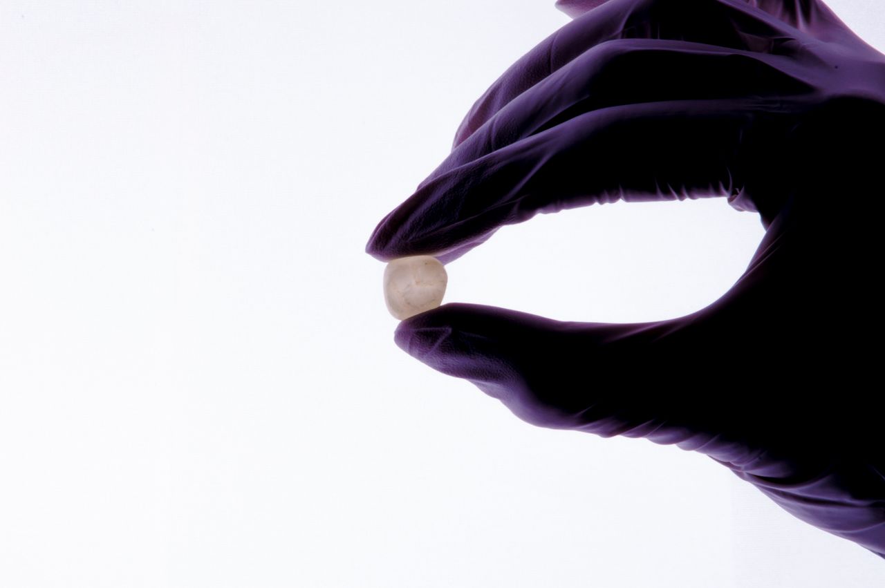 María Fernanda González Gastelum-49