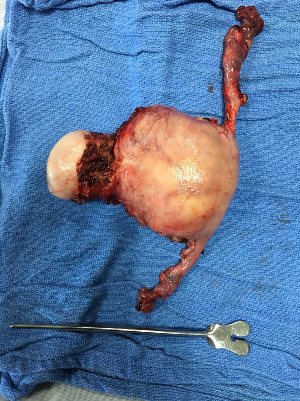 Mariann Barajas Grijalva-17