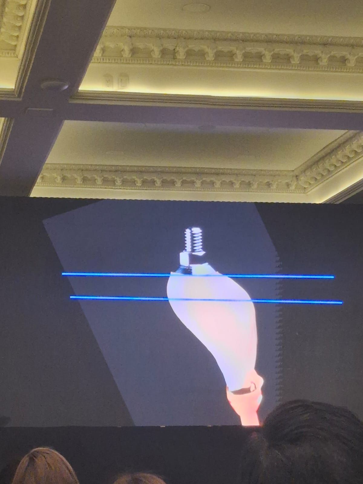 Susana Cherta Perez-13