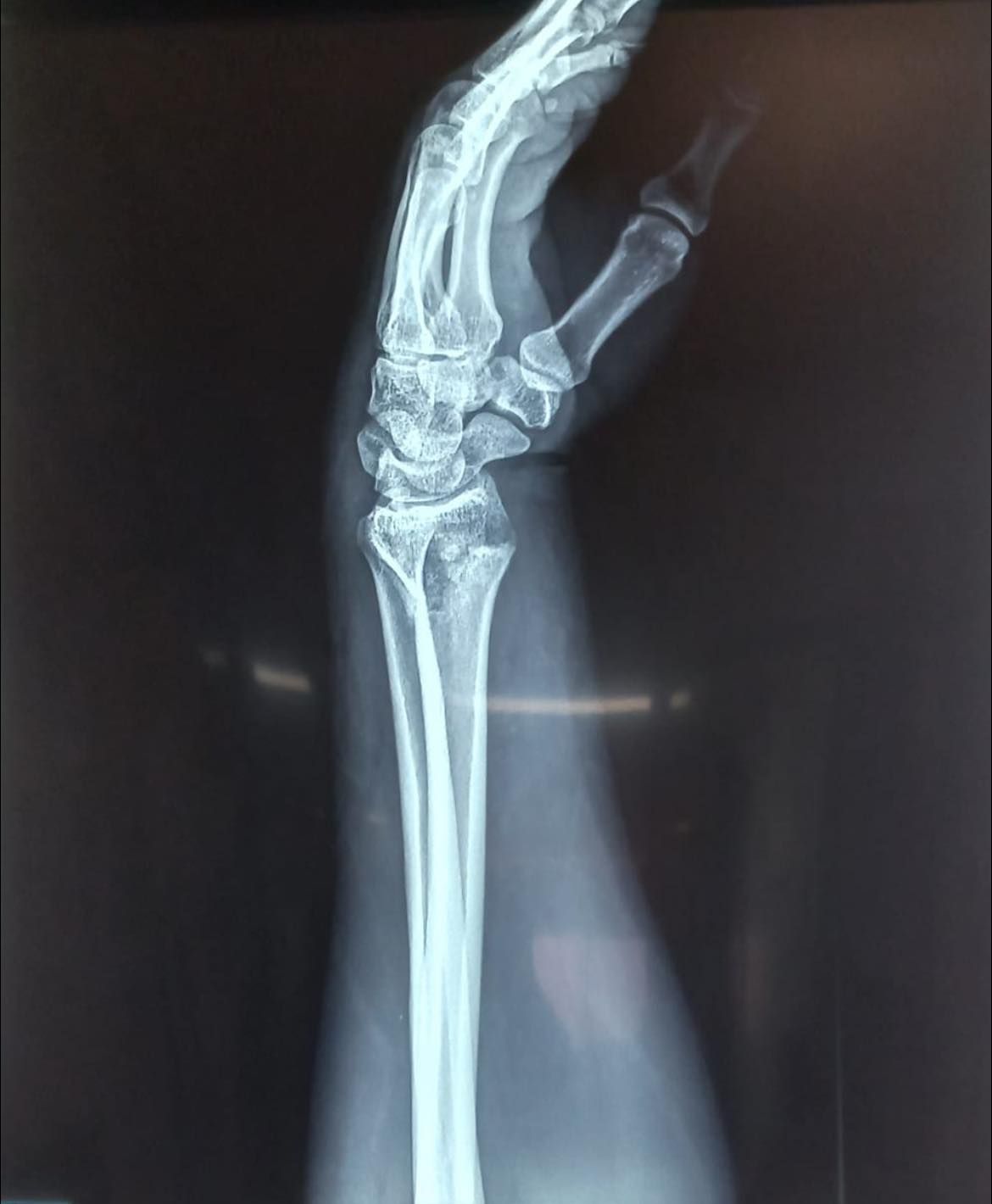 Felix Alfaro Arias-12