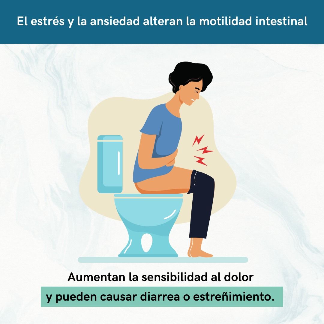 Alejandro Meneses Parga-43