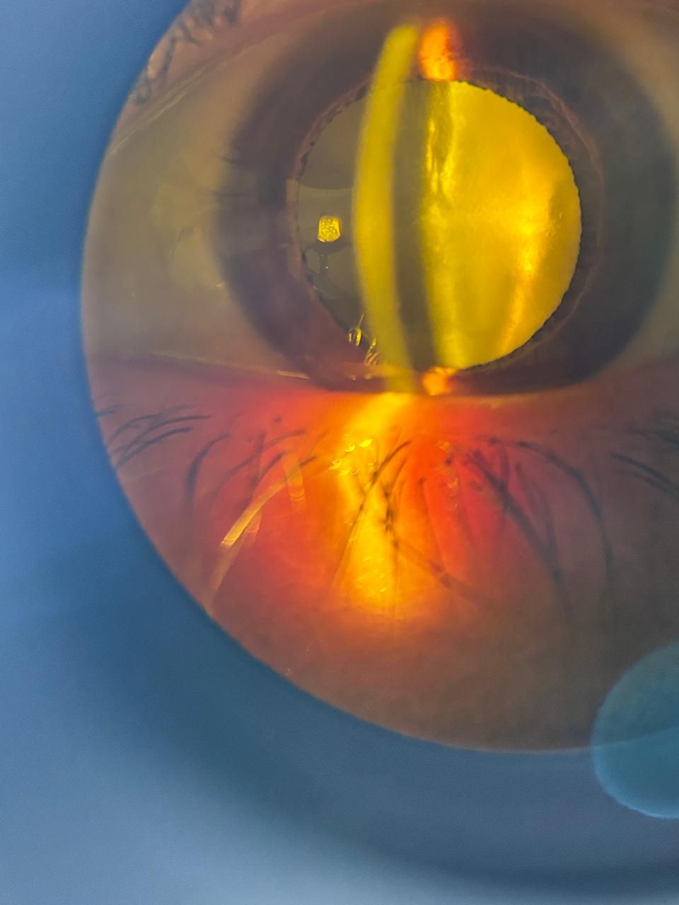 Daniel Martin Laguna Muñoz-61