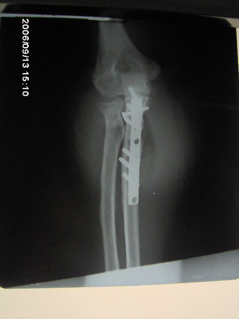 Gustavo Francisco Pérez Cuevas-3