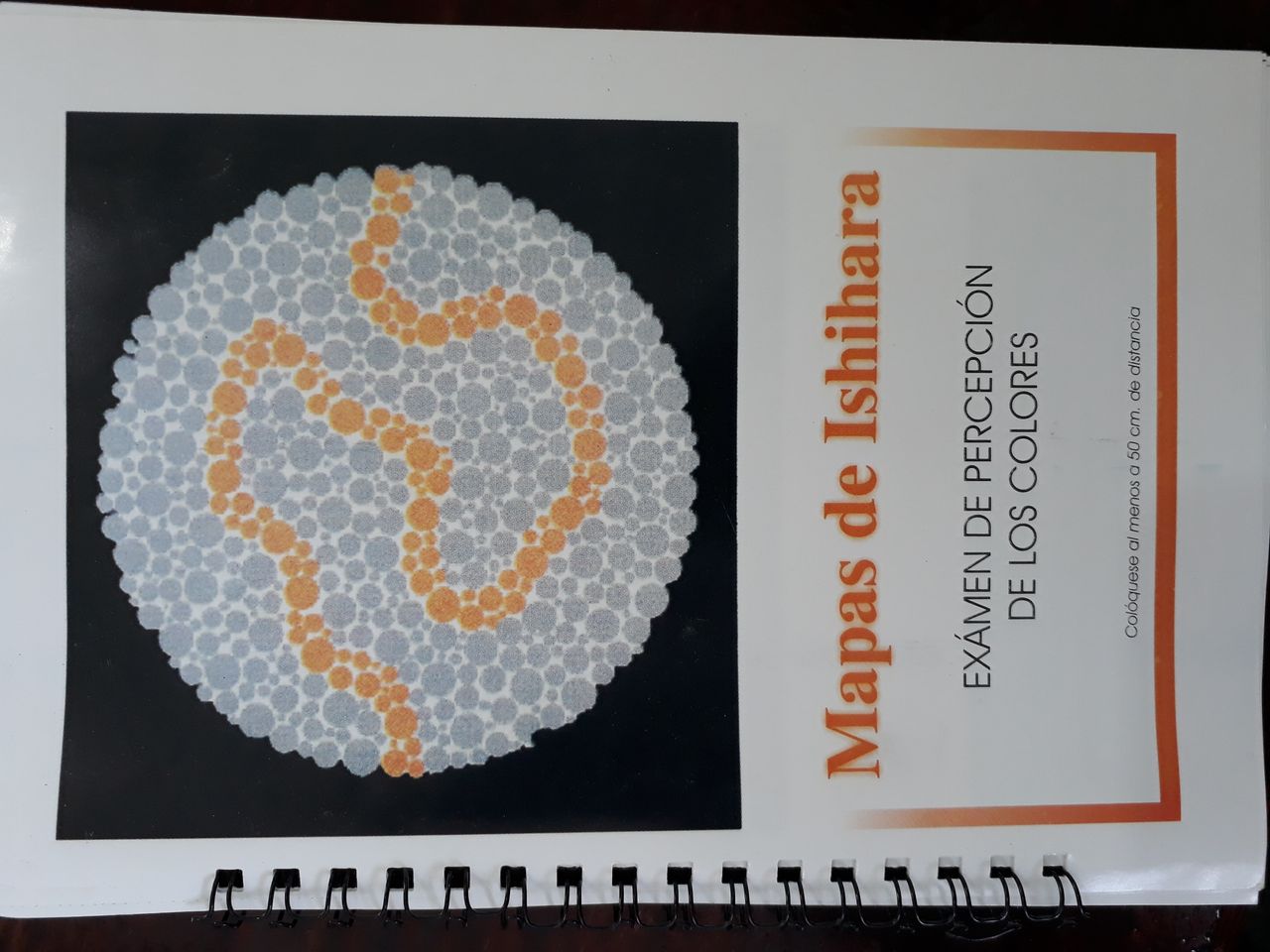 Helio M Ambriz Delgadillo-8