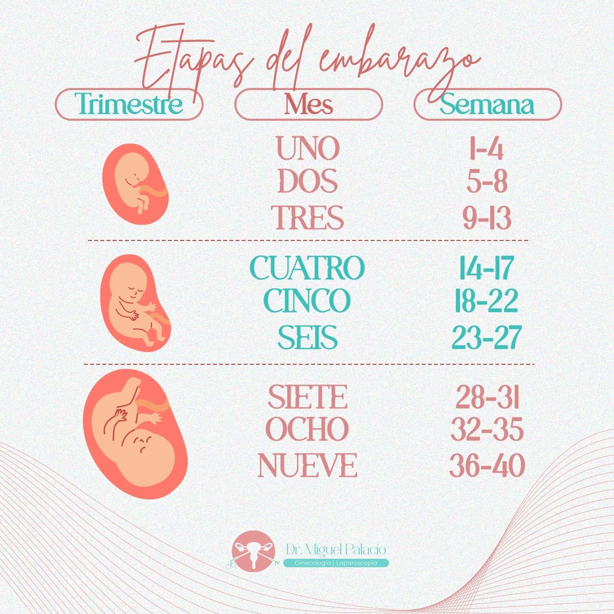 Miguel Angel Palacio Gomez-4