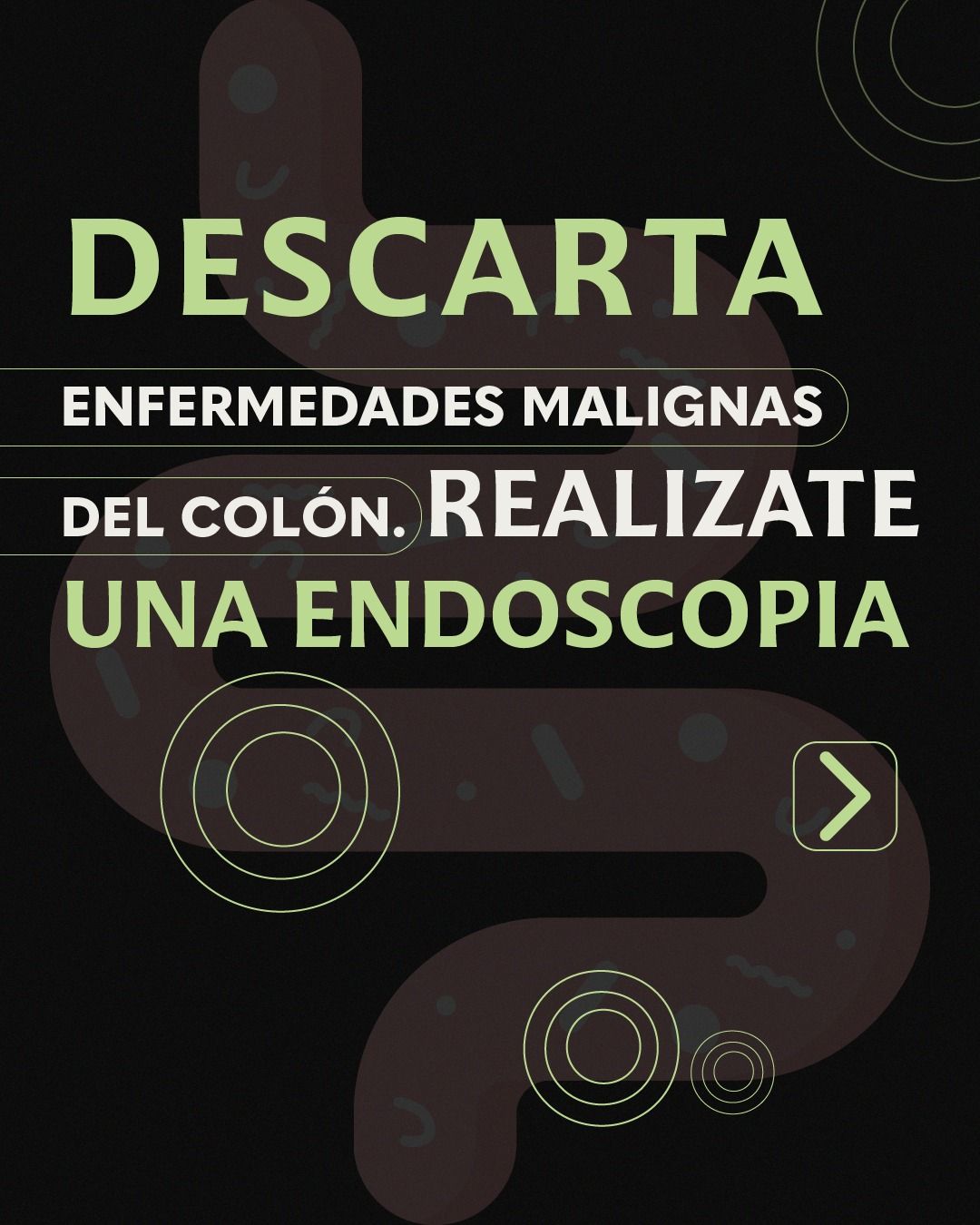 Wilmer Torrecilla Ramírez-10