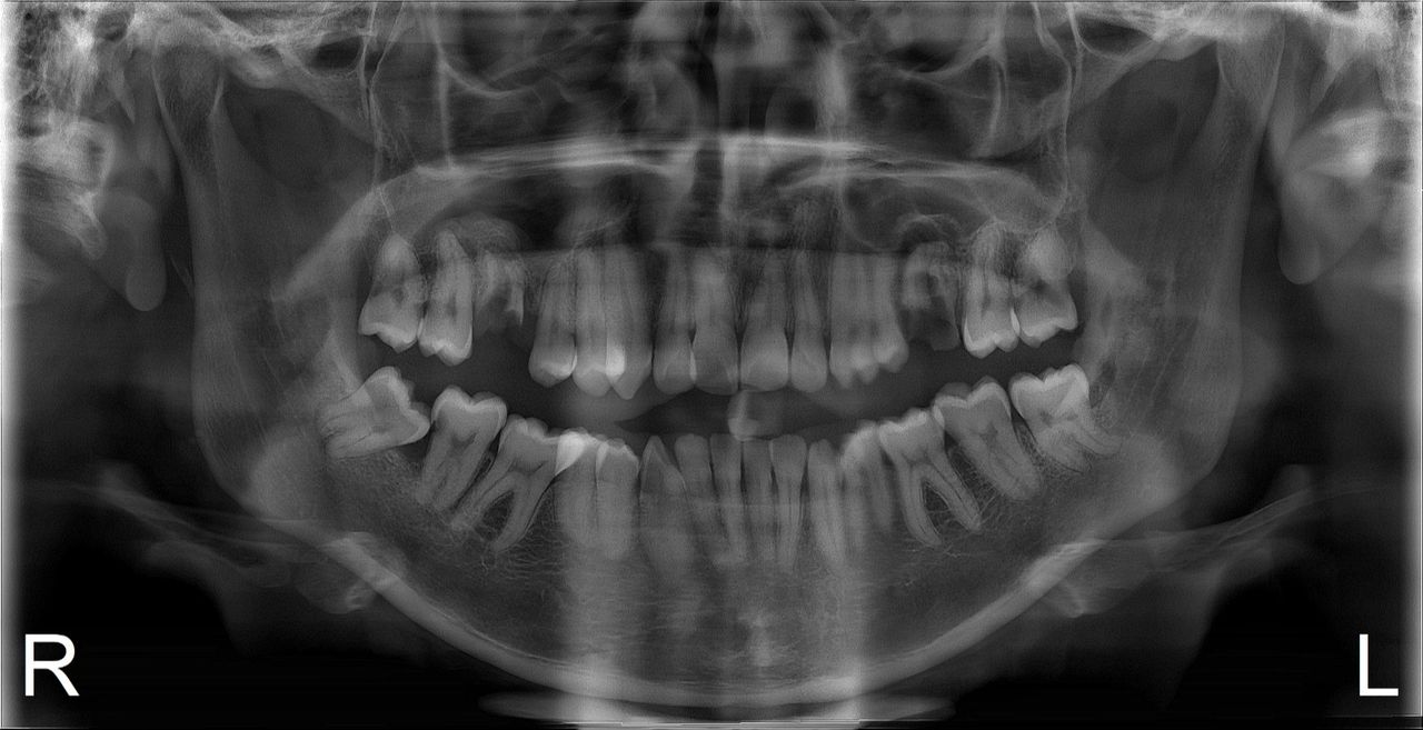 Jacqueline Arroyo Castellanos-0