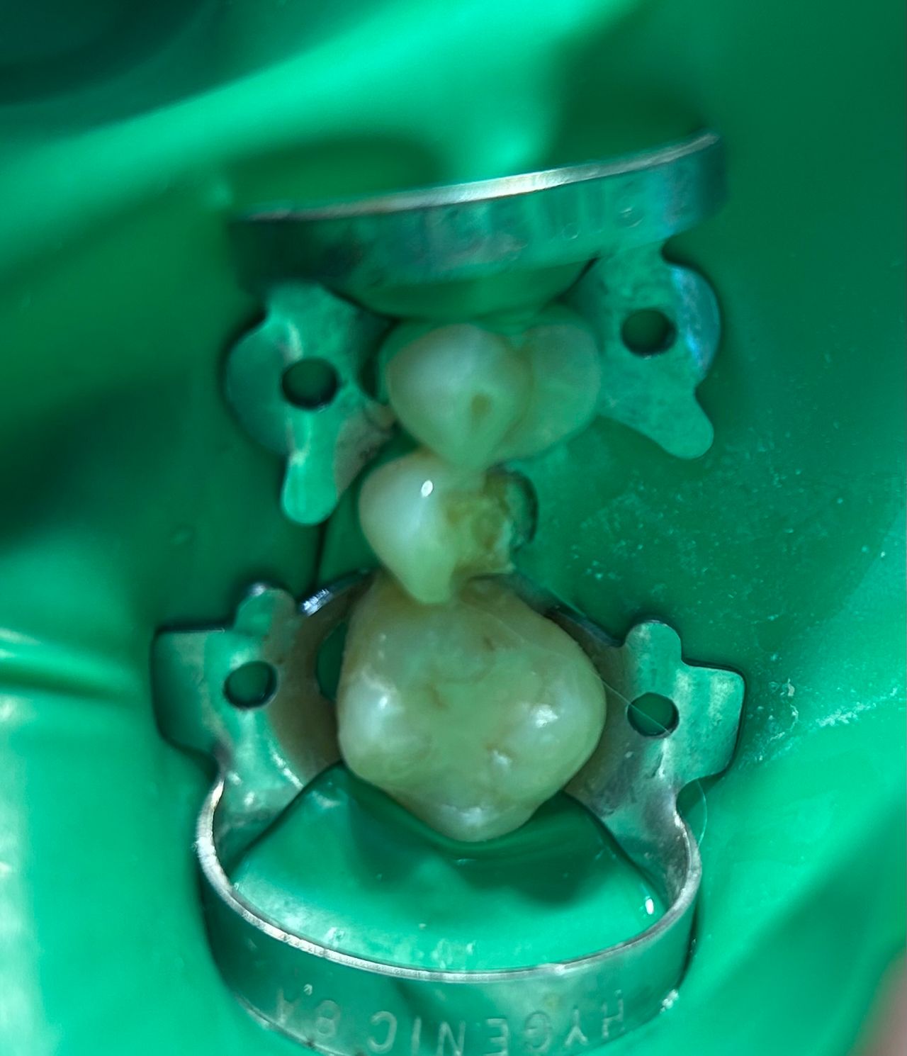 Sandra Carolina Cigala Martínez-21