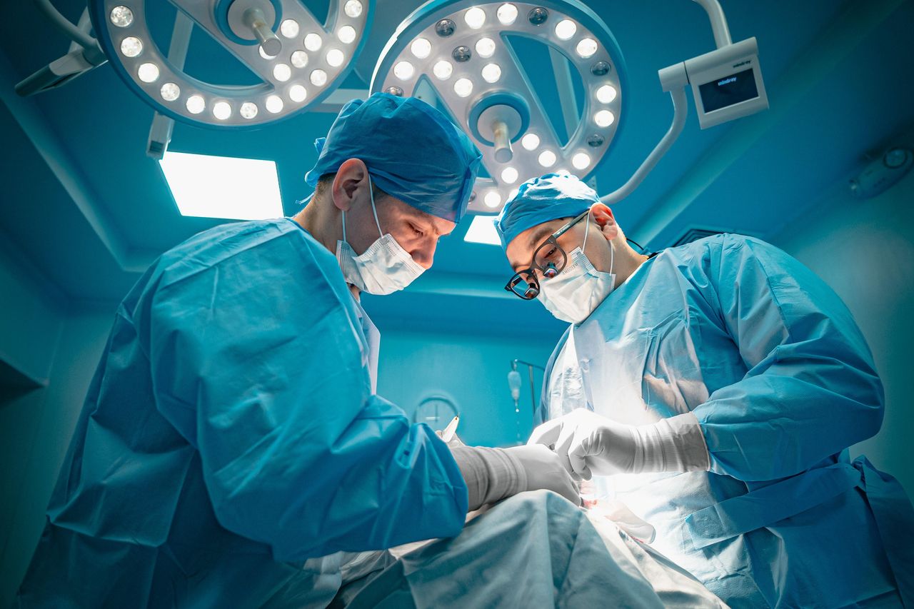 José Martín Niebla Moreno-12