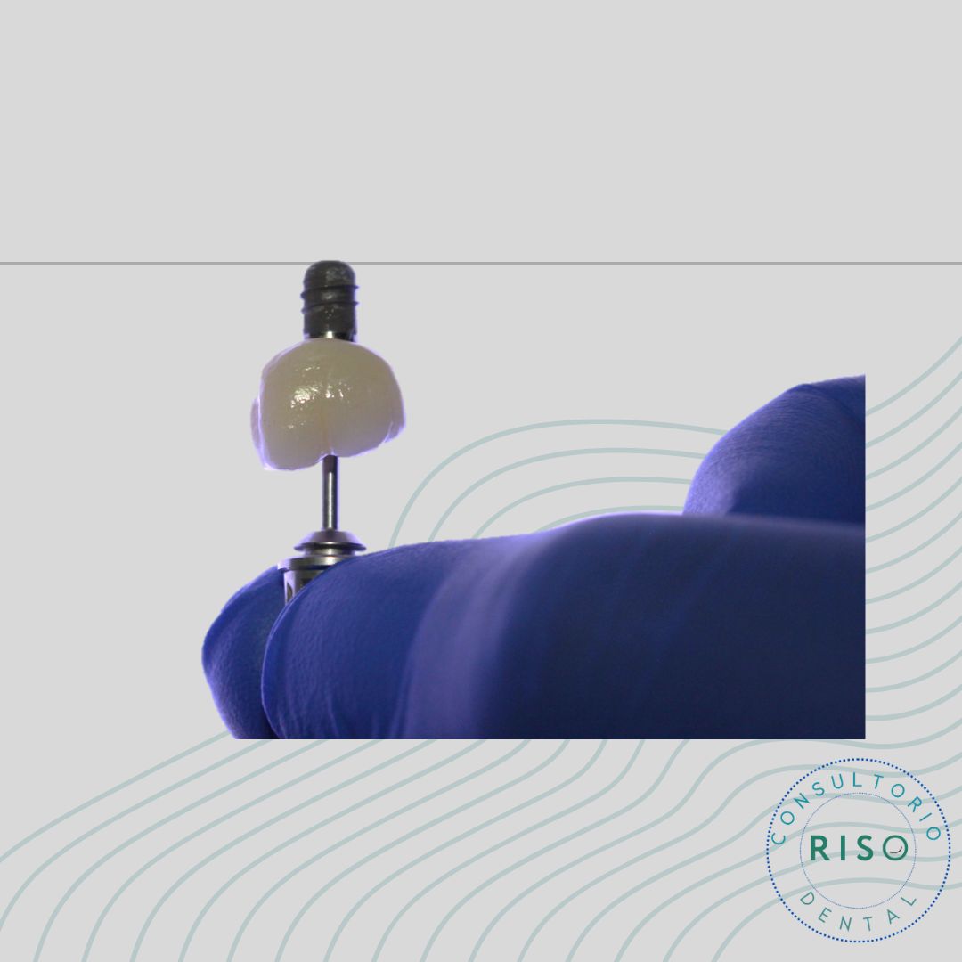 Cinthya García Sámano-20