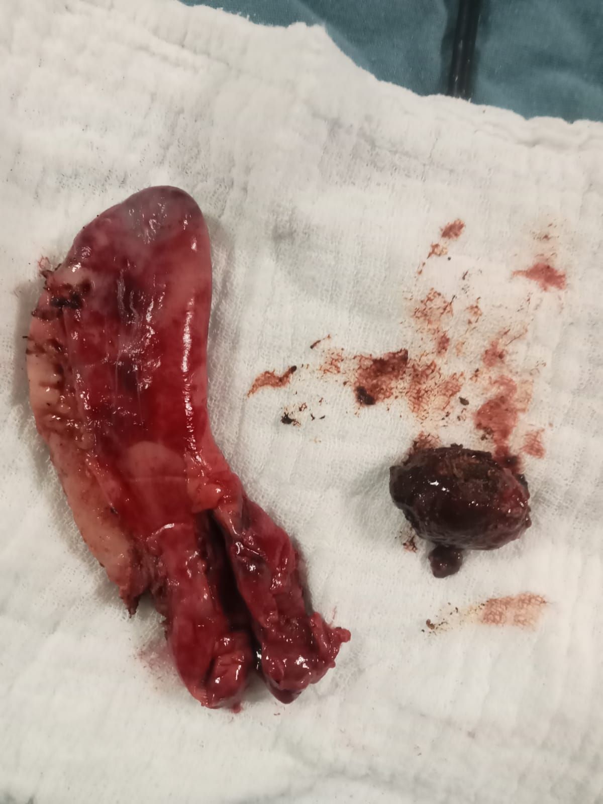 Horacio Paniagua Hernández-13