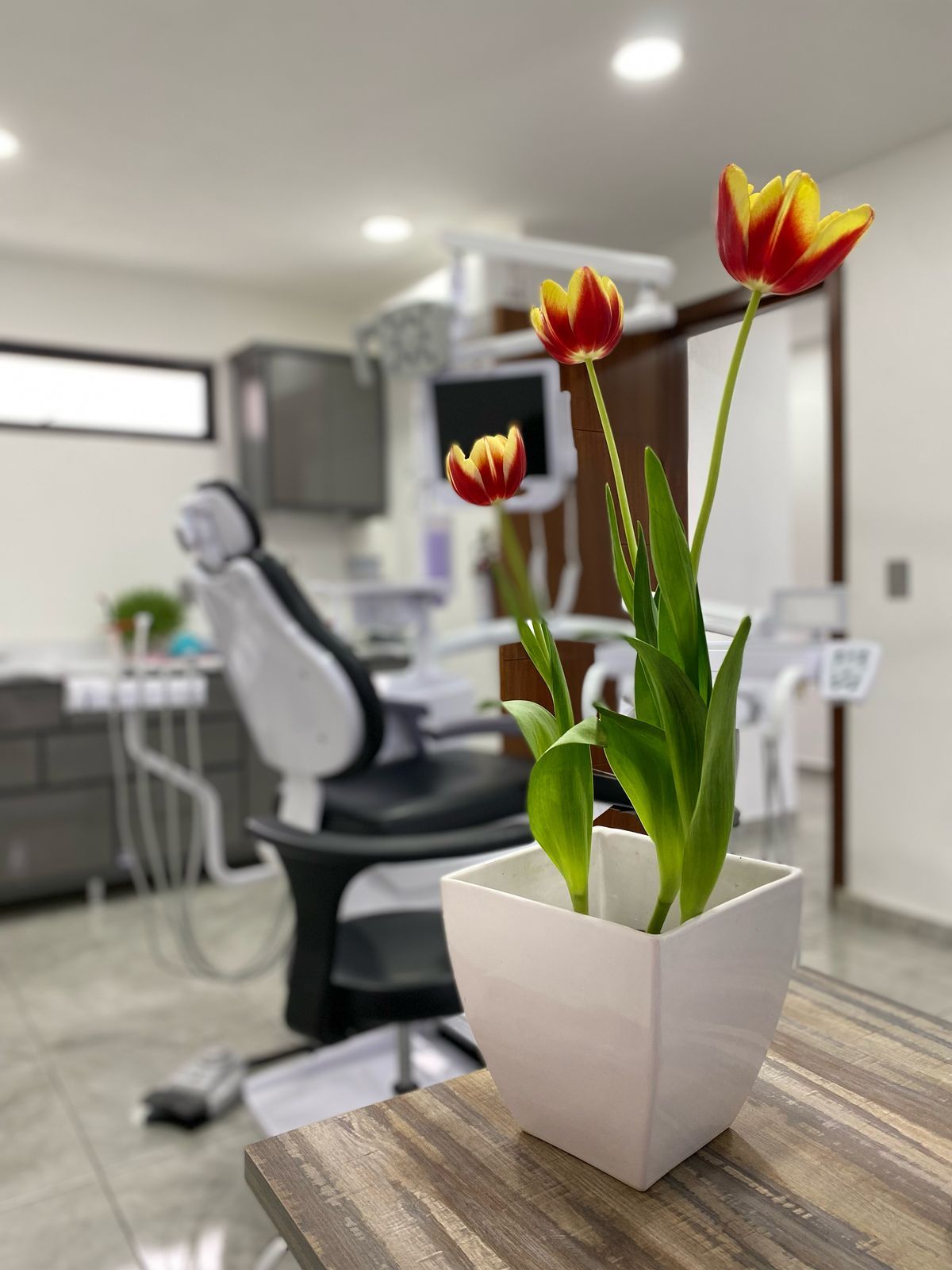 Stephanie Nathalia Ascencio Becerra-2