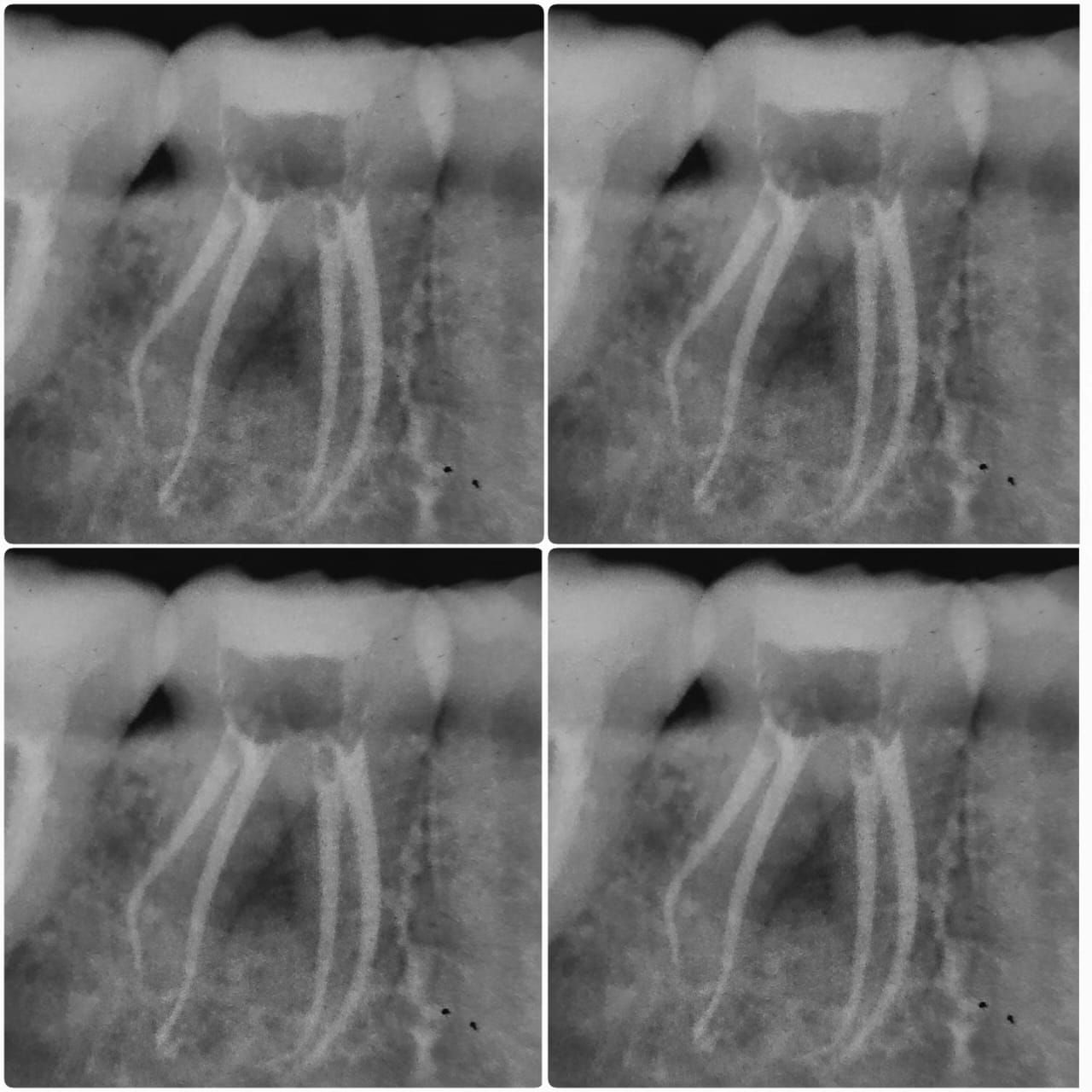 Juan Angel Cruz Rodríguez-22